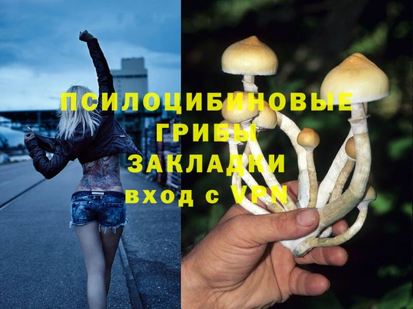 мяу мяу мука Алексеевка
