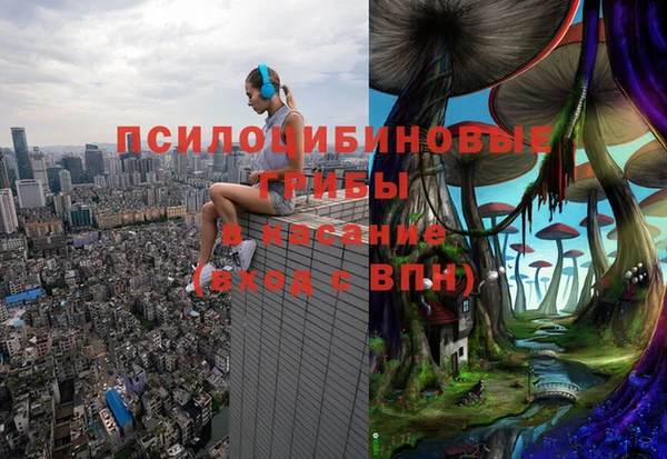мяу мяу мука Алексеевка