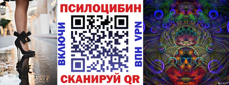 купить закладку Ачхой-Мартан Псилоцибиновые грибы прущие грибы